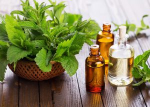 Peppermint essential oils for headaches