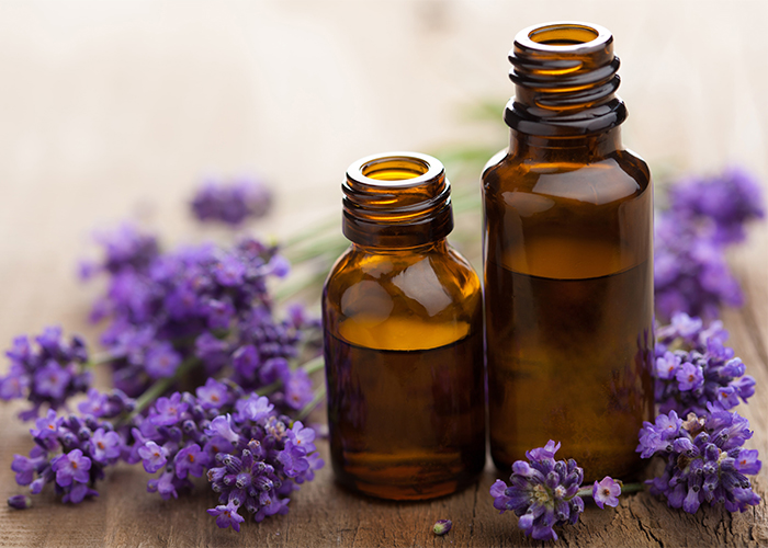 Bottles of rose and lavender essential oil blend for depression and stress next to sprigs of lavender