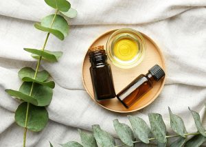 Top-down view of ginger and eucalyptus essential oil blends next to branches of eucalyptus leaves