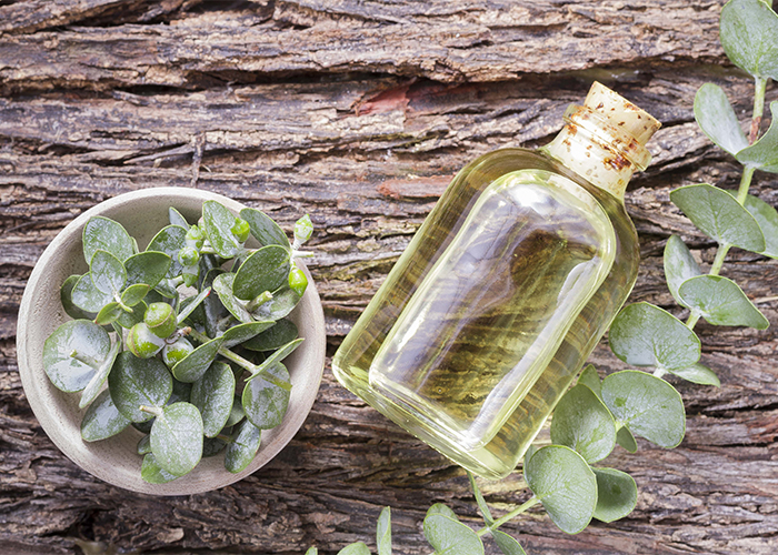 The Top 5 Essential Oils for Headaches WellMe