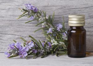 A bottle of rosemary essential oil net to freshly cut rosemary stems
