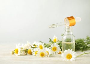 An open bottle of chamomile oil next to freshly cut chamomile flowers