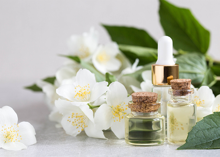 Home bottled jasmine essential oils displayed with fresh jasmine flowers