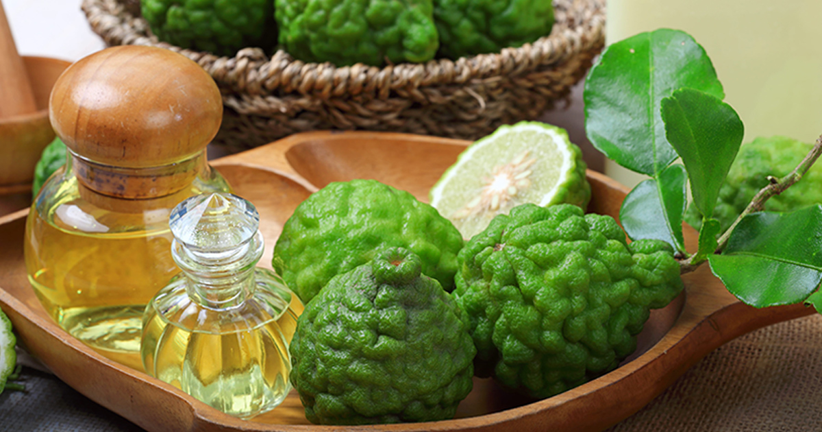 The 6 Best Bergamot Essential Oil Recipes | WellMe