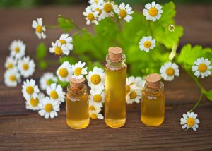 Bottles of chamomile essential oil with chamomile flowers in the background 