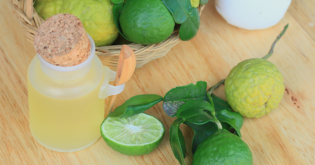 6 Benefits and Uses of Citrus Hystrix Essential Oil (Kaffir Lime Leaf)