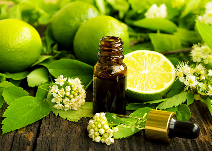 An open bottle of citrus essential oil  surrounded by fresh limes and lime flowers and leaves.