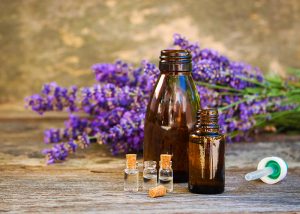 Small and large bottles of lavender essential oil with sprigs of lavender in the lavender
