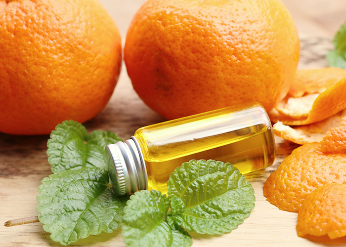 A bottle of bergamot, orange, and peppermint essential oil surrounded by fresh oranges and peppermint leaves