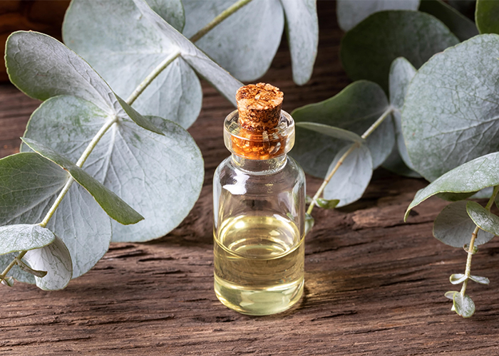 The 5 Best Essential Oils for Allergies WellMe