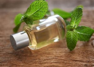 essential-oil-with-mint-on-wooden-background