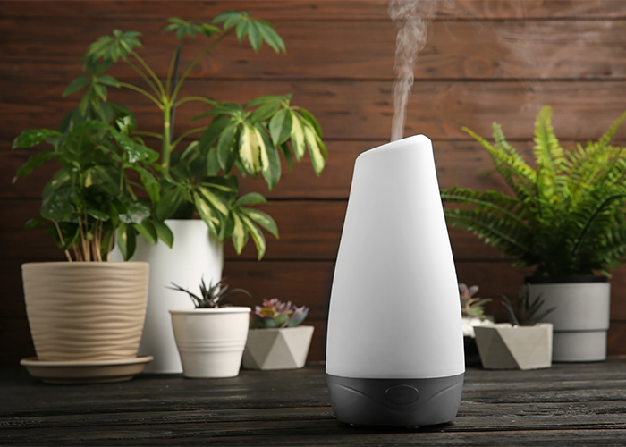 modern-diffuser-on-black-wooden-table-with-plants