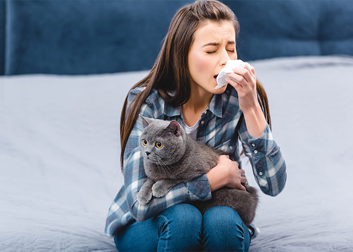 woman-with-allergies-holding-facial-tissue-and-cat-at-home